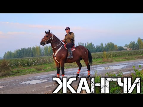 Видео: ФАЗЛИДДИН АКАДАН ЖАНГЧИ ТОЙИМИЗ СОТИЛАДИ !..ШОШИЛИБ КОЛИНГЛАР  !..