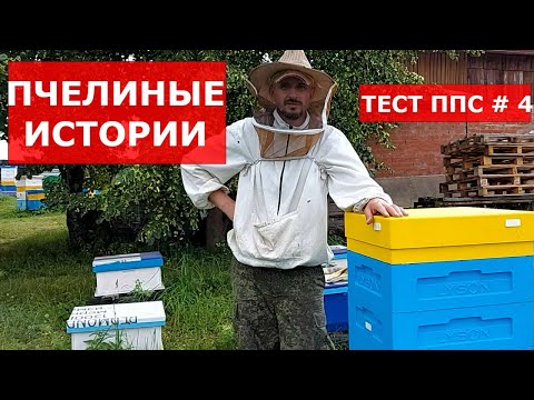 Видео: ШОК! МАТКА ЗАСТРЯЛА В РЕШЕТКЕ/ПЧЕЛОВОДСТВО КАК ОНО ЕСТЬ