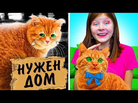 Видео: Как Переделать Школу в Приют для Животных? || Веселые Ситуации с Друзьями