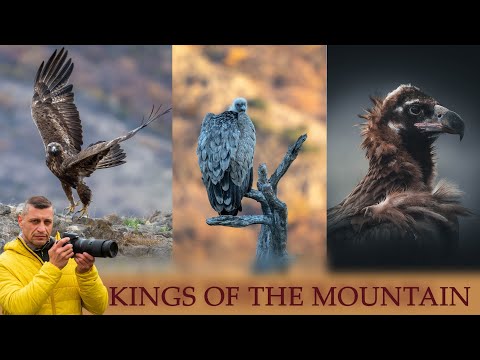 Видео: Маджарово: орли, лешояди и дивата природа на България