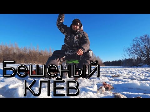 Видео: Ловлю КРУПНОГО ОКУНЯ зимой! Первый лёд 2024 2025