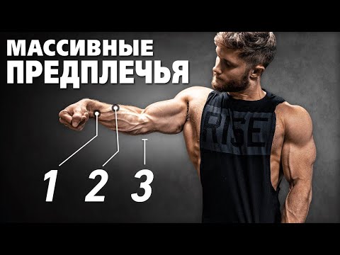 Видео: Как НАКАЧАТЬ мощные ПРЕДПЛЕЧЬЯ. Оптимальная ТРЕНИРОВКА. УПРАЖНЕНИЯ на предплечья