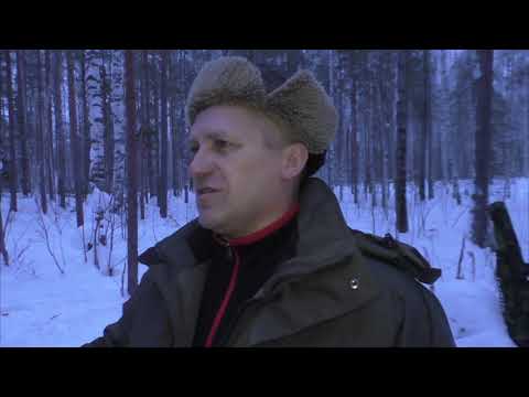 Видео: Рыбалка на 100км р. Лозьва. Д. Ликино.   28.01.-31.01.2021