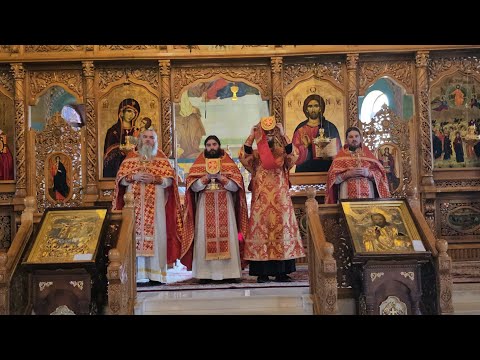 Видео: Sf.Liturghie la pomenirea Sf.Mare Mc.Dimitrie, Izvorâtorul de Mir Память Св.Вмч. Дмитрия Солунского