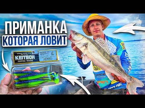 Видео: Эта приманка косит рыбу! Вячеславское водохранилище. Ловим судака на спиннинг