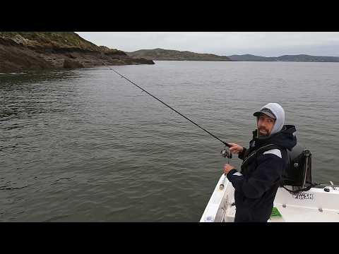 Видео: Ловля толстого октябрьского окуня | Мягкие пластиковые приманки