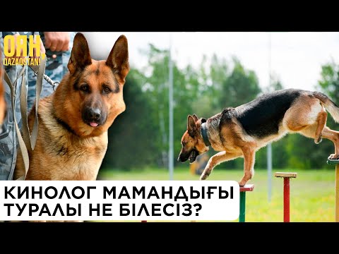 Видео: Кинолог мамандығы туралы не білесіз? | Оян, Qazaqstan
