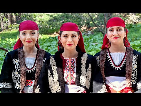 Видео: Гълъб форка / Gulub forka - Mariya, Asya, Vanya (Album Version)