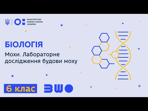 Видео: 6 клас. Біологія. Мохи. Лабораторне дослідження будови моху