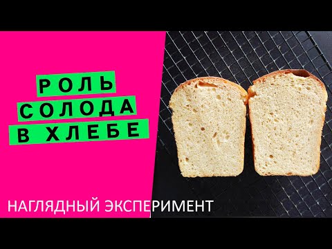 Видео: Роль солода в хлебе: НАГЛЯДНЫЙ ЭКСПЕРИМЕНТ! ⚗🧪