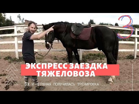 Видео: Заездка тяжеловоза 3 часть.  Нервная тренировочка получилась.  Нельзя падать!