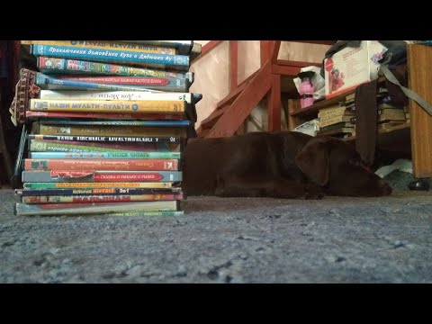 Видео: мои DVD детства