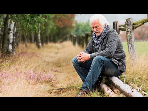 Видео: Этот случай, мужчина не забудет никогда. (Трогательная история)