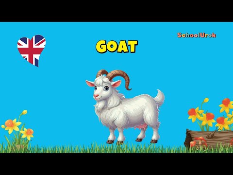 Видео: Домашні тварини англійською мовою для дітей