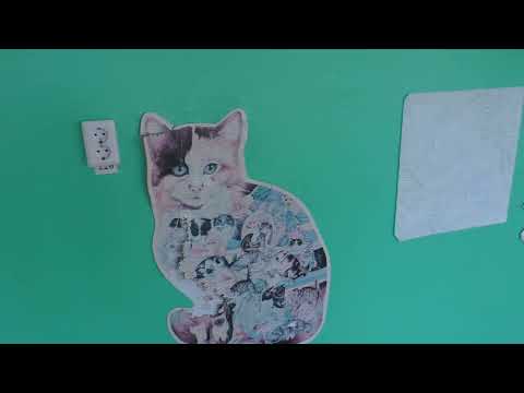 Видео: Татарстан/Отдалённые районы. Кукмор и другие...Сад с торгов..