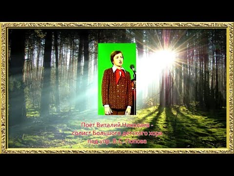 Видео: Поёт Виталий Николаев.