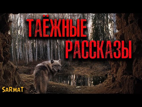 Видео: ТАЁЖНЫЕ РАССКАЗЫ | Страшные истории