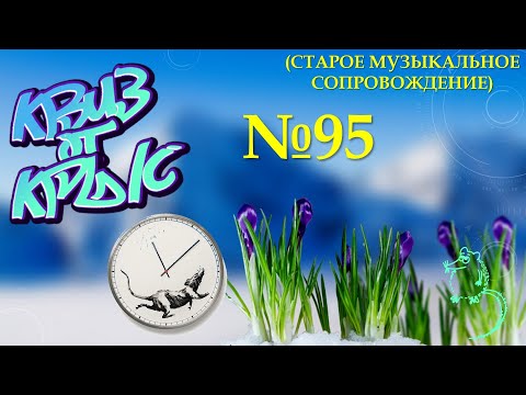Видео: КВИЗ от КРЫС эпизод 95 (старое музыкальное сопровождение)