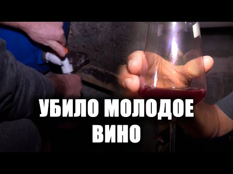 Видео: Убило молодое вино