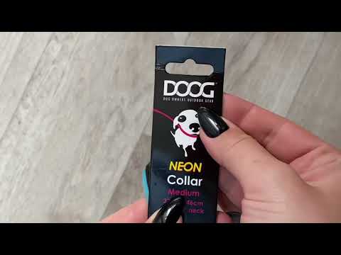 Видео: покупки 🛍 с WILDBERRIES для собаки🐕