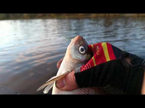 Видео: 21.10.25 Разведка город и смогу ли на велике приехать с лодкой, половить. Холодноооооо