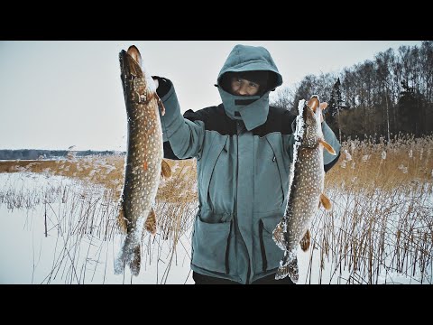 Видео: САМАЯ КРУТАЯ РЫБАЛКА ЗИМЫ!!! ТАСКАЮ ЩУК НА ЖЕРЛИЦЫ!