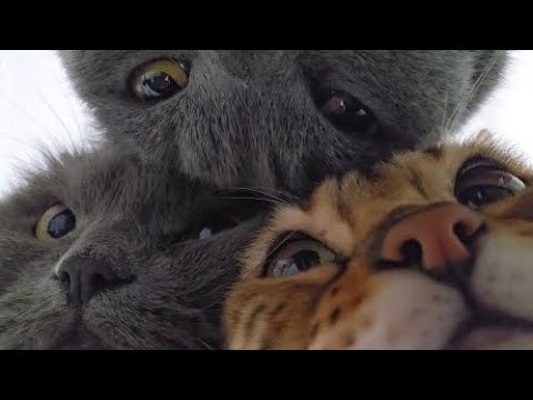 Видео: НОВЫЕ ДУХИ КУПИЛИ СЕБЕ С ДЕВОЧКАМИ😍