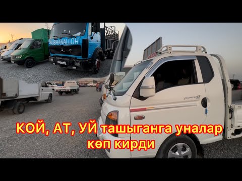 Видео: 04.09.2025 Жалал-Абад ууна базар