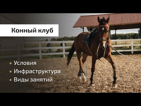 Видео: Конный клуб | Уроки верховой езды, подготовка спортсменов, инфраструктура, условия.