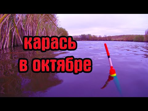 Видео: НА ЧТО ЛОВИТЬ КАРАСЯ В ОКТЯБРЕ.Рыбалка на карася .Эксперементы с наживками.