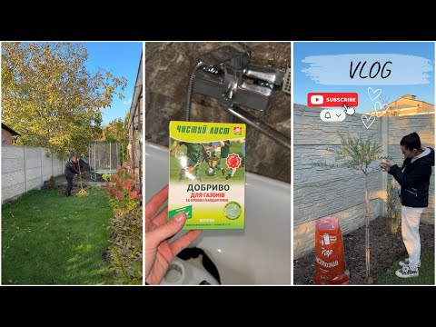 Видео: Осенняя уборка во дворе✅🧹Готовим газон к зиме❄️