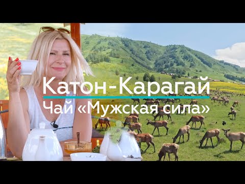 Видео: Секреты Катон-Карагайской МУЖСКОЙ СИЛЫ!  / "А как там у них?" c Еленой Кукеле