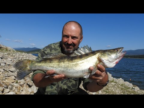 Видео: Първи риболов за Бяла риба през 2022 г. /част втора/