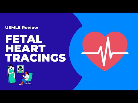 Видео: Обзор High Yield | Кривые сердечного ритма плода