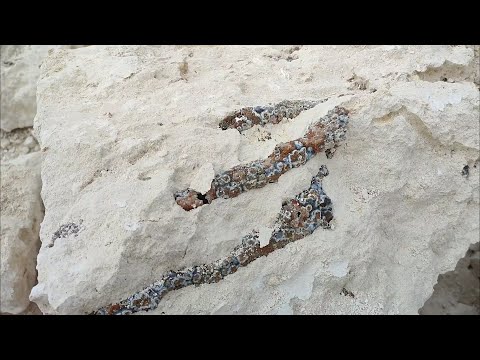 Видео: Поход за минералами и окаменелостями на Воробьевский карьер. Старица, Тверская область. Часть 1