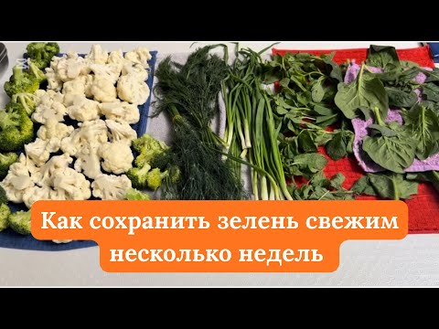Видео: Бесподобный способ как СОХРАНИТЬ ЗЕЛЕНЬ СВЕЖИМ НЕСКОЛЬКО НЕДЕЛЬ. Көкшөп көкөністі ұзақ сақтау тәсілі