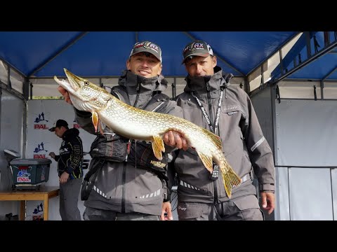 Видео: Первый тур Финального этапа PAL-2019 от Stalingrad Fishers