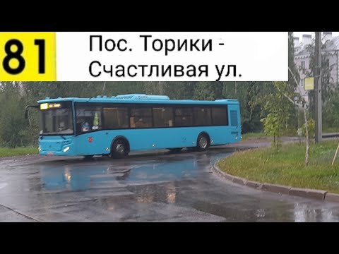 Видео: Автобус 81. Пос. Торики - Счастливая ул.