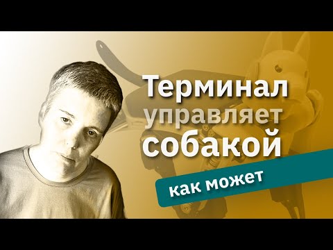 Видео: Щупаем робособаку за хвост и смотрим ей в кишочки • Live Stream