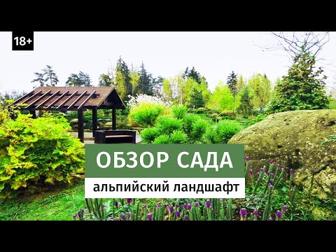 Видео: Обзор сада в альпийском стиле. Подмосковье.