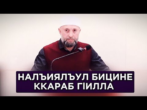 Видео: 24.05.2024./ НАЛЪИЯЛЪУЛ БИЦИНЕ ККАРАБ ГlИЛЛА