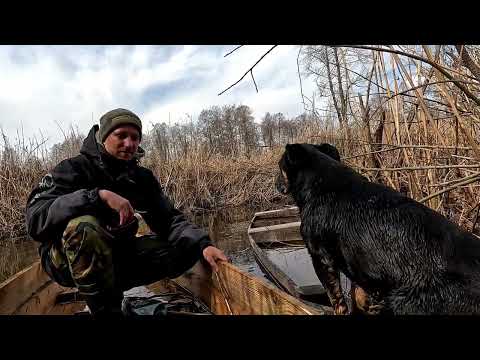 Видео: Весняна плотва на вудку - риболовля на Стоході