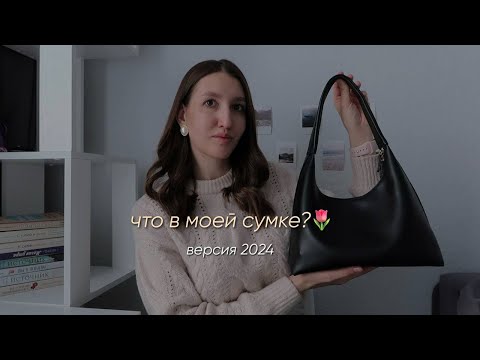 Видео: Что в моей сумке 2024? Что в сумке у блогера бровиста?