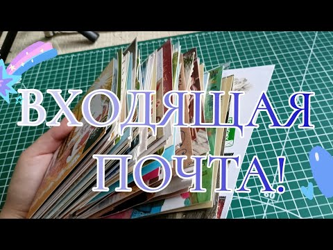 Видео: Входящие за август 2025//Postcrossing 🫰