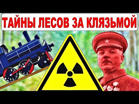 Видео: Пеший поход в лес. Заброшки: Мост УЖД, дача Ворошилова. Заброшенная деревня Почайка