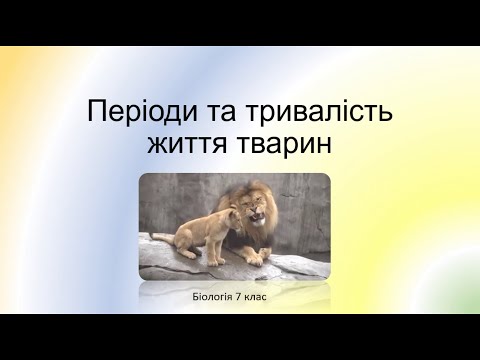 Видео: Біологія. Тварини. Періоди та тривалість життя тварин