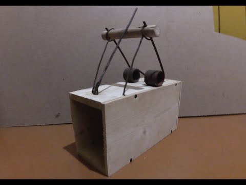 Видео: Охота на куницу, норку. Ящичная ловушка из подручных средств!