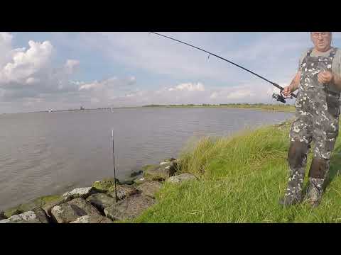 Видео: ВЕЛИКОЛЕПНАЯ РЫБАЛКА НА РЕЧКЕ ВСЕГДА ПОГОДА ПЛОХАЯ!