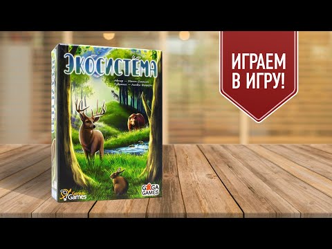 Видео: ЭКОСИСТЕМА: Играем в настольную игру о природе