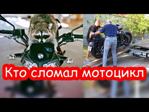 Видео: VLOG Вызвали эвакуатор. Эмма у нас в гостях